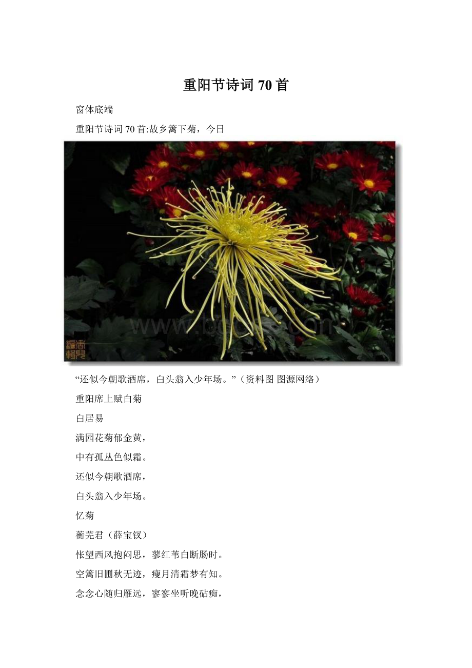 重阳节诗词70首Word文档下载推荐.docx_第1页