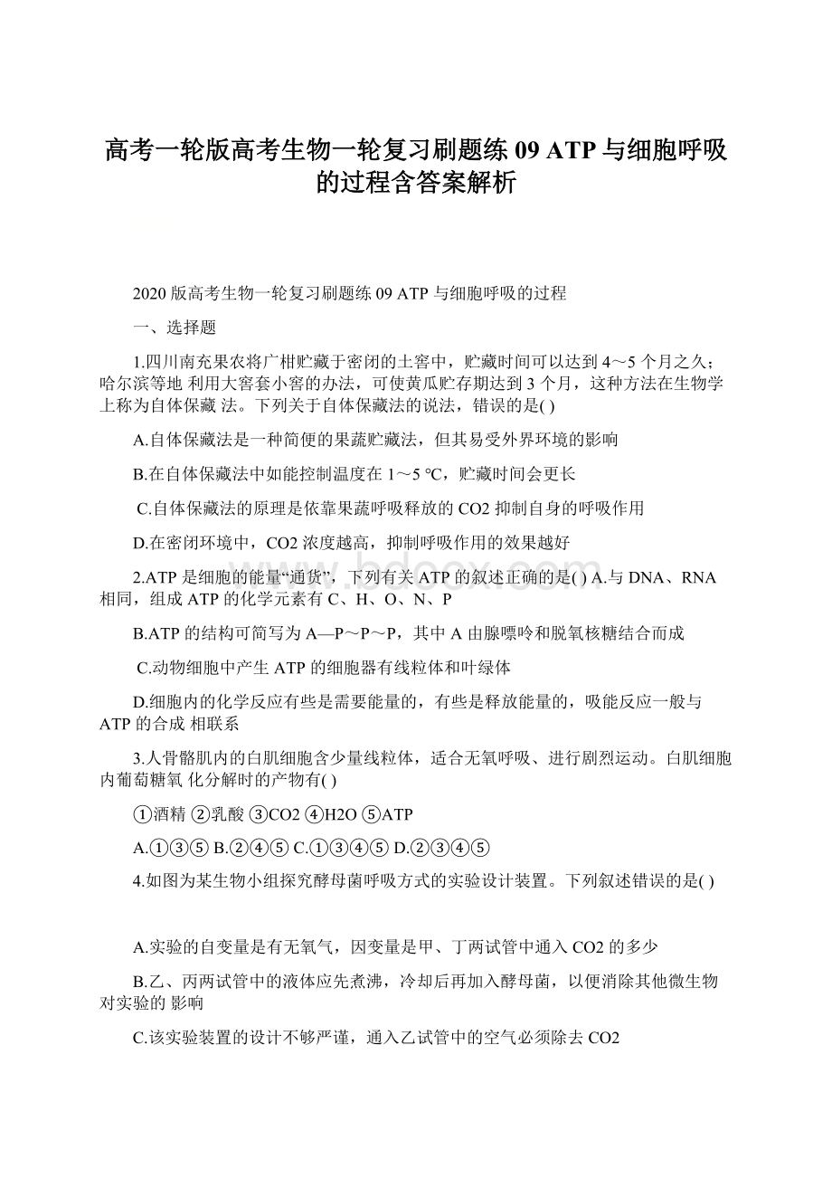 高考一轮版高考生物一轮复习刷题练09 ATP与细胞呼吸的过程含答案解析.docx_第1页