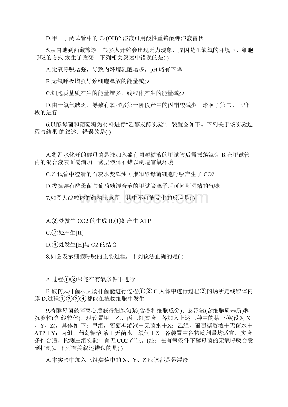 高考一轮版高考生物一轮复习刷题练09 ATP与细胞呼吸的过程含答案解析.docx_第2页