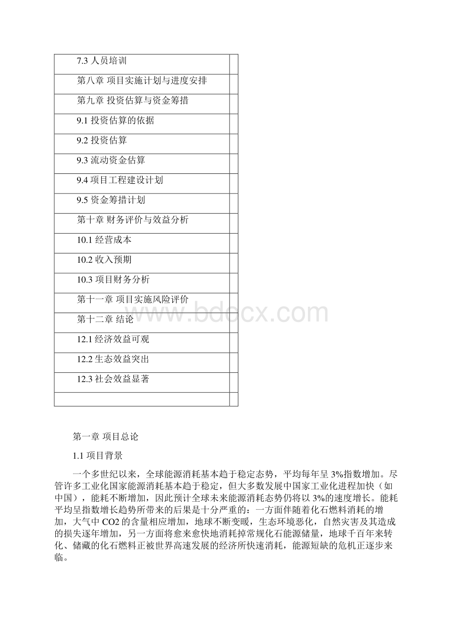 太阳能电池生产项目可行性研究报告审定稿Word文档格式.docx_第3页