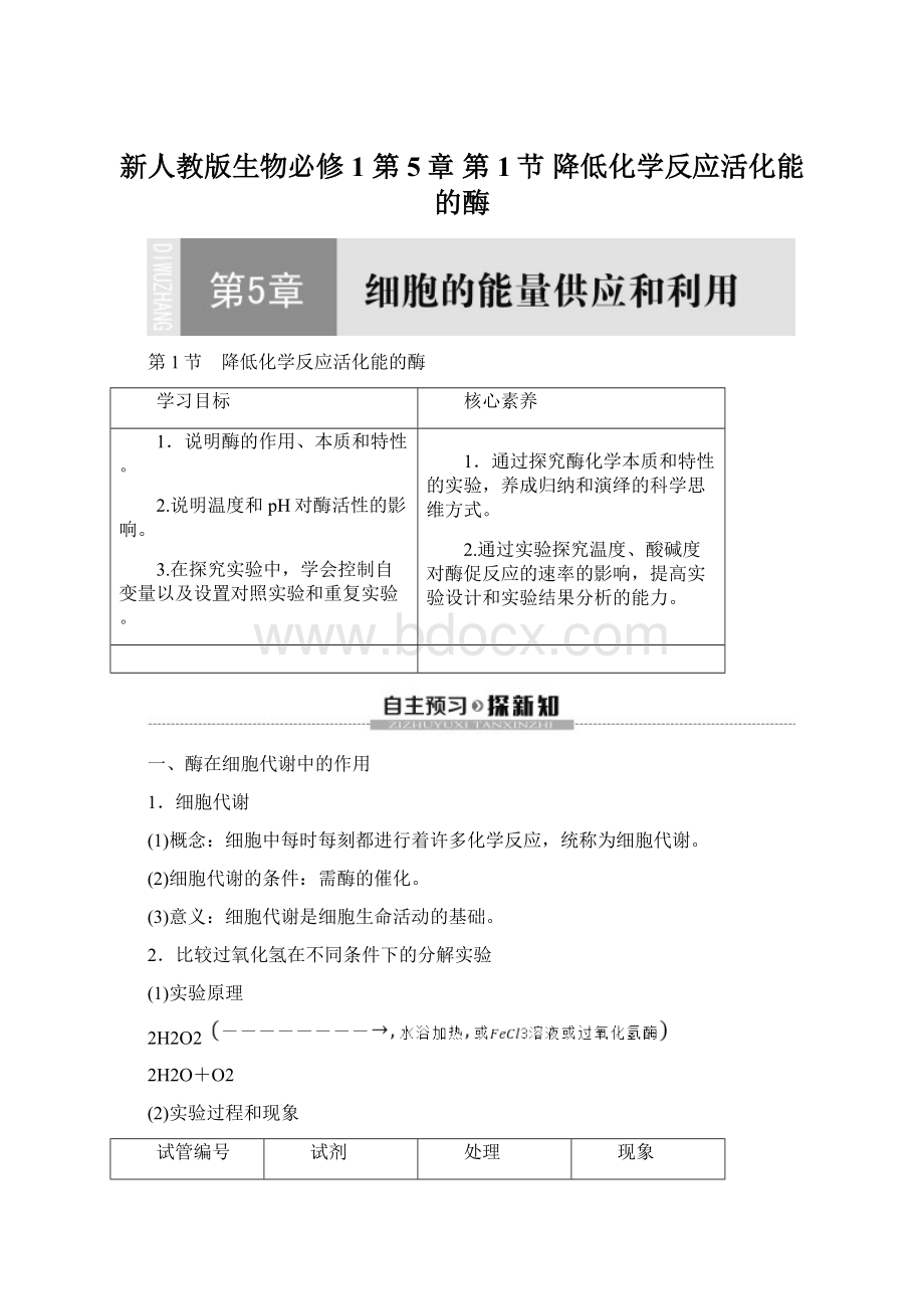 新人教版生物必修1 第5章 第1节 降低化学反应活化能的酶.docx_第1页