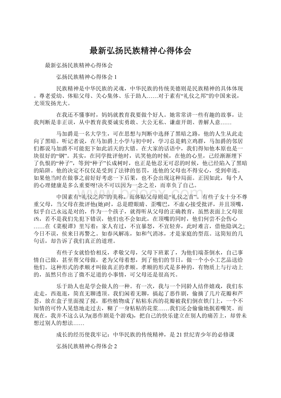 最新弘扬民族精神心得体会Word下载.docx