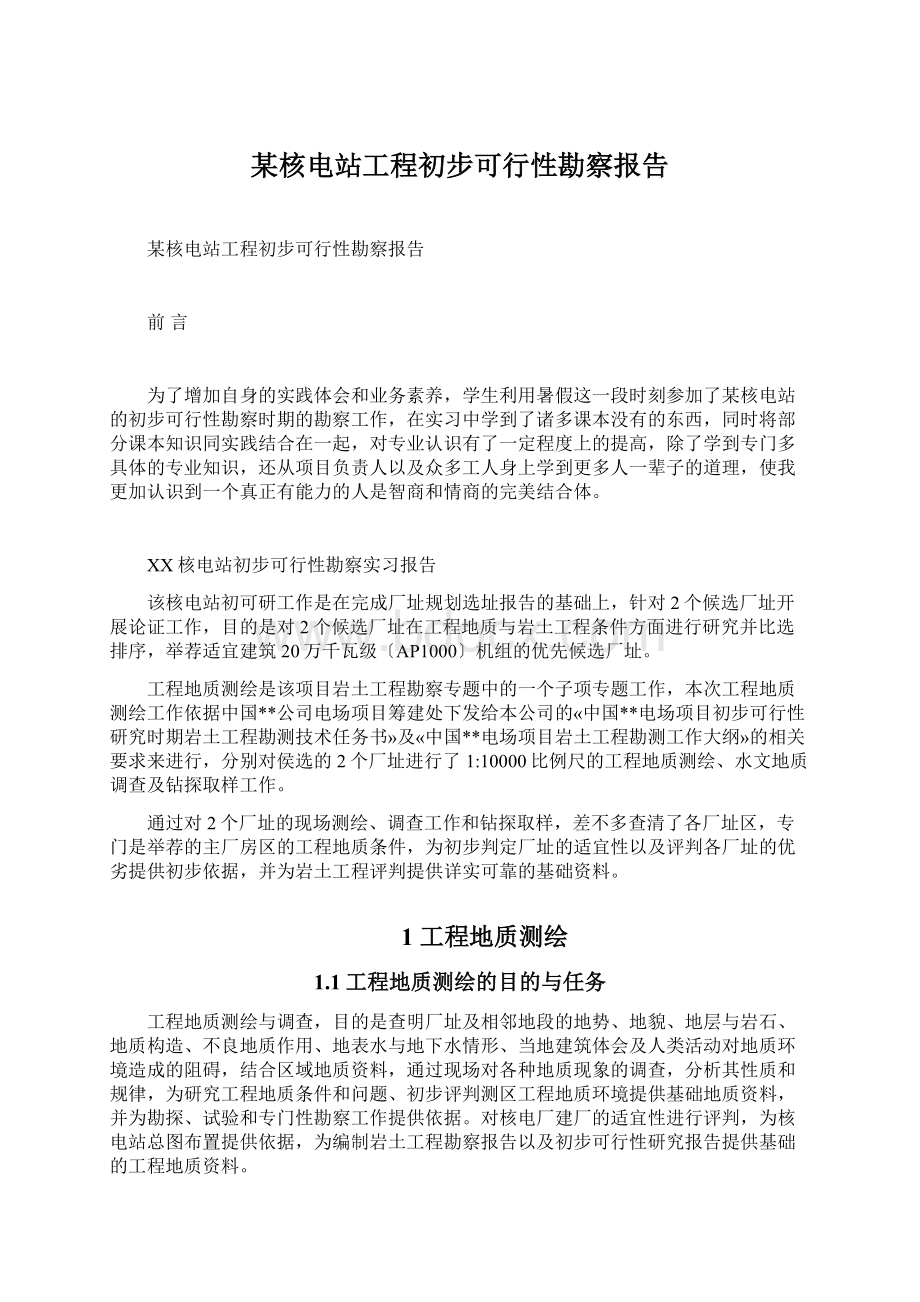 某核电站工程初步可行性勘察报告.docx_第1页