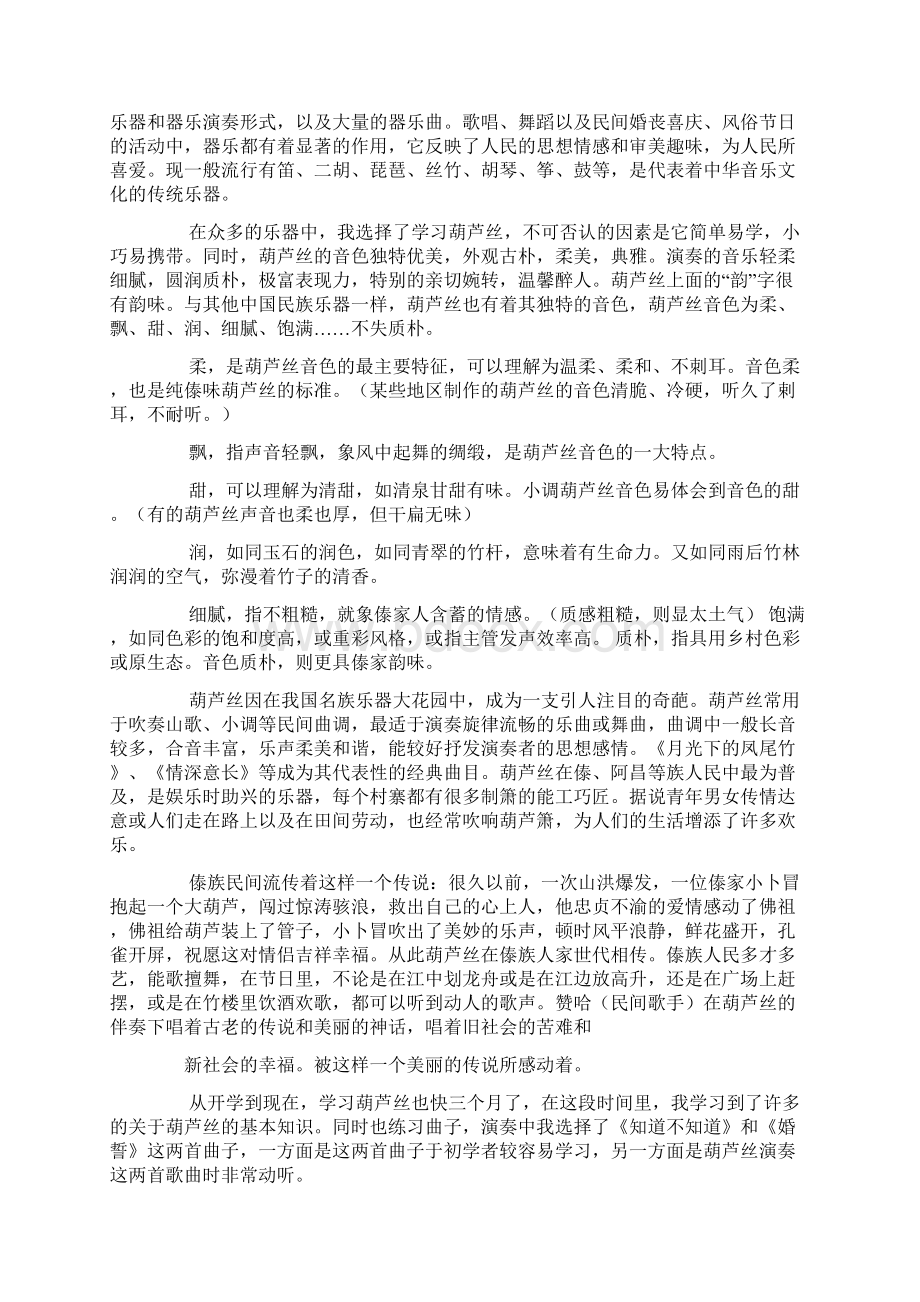 学习葫芦丝心得体会Word文档格式.docx_第2页