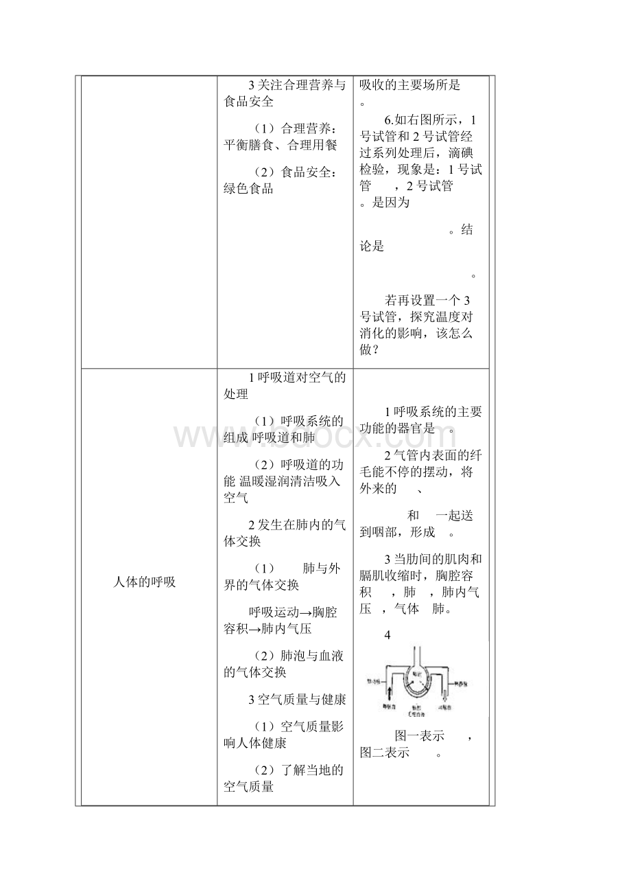 生物会考Word格式.docx_第3页