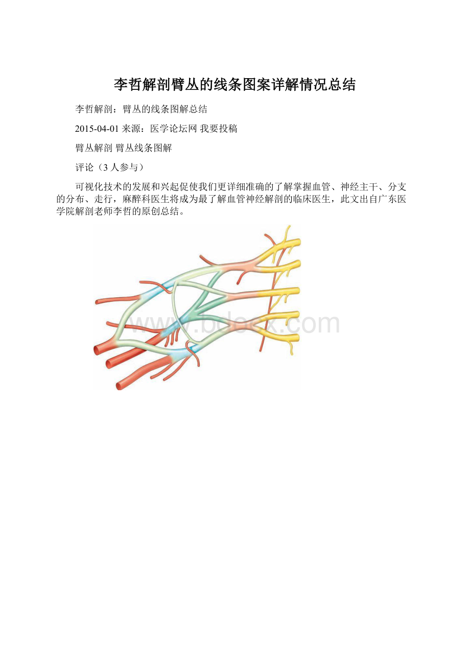 李哲解剖臂丛的线条图案详解情况总结.docx_第1页