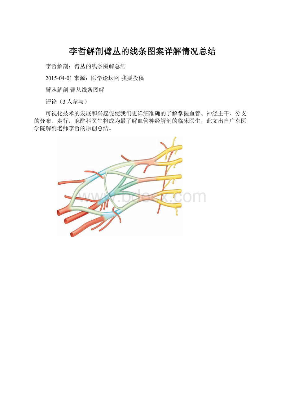 李哲解剖臂丛的线条图案详解情况总结Word文件下载.docx_第1页