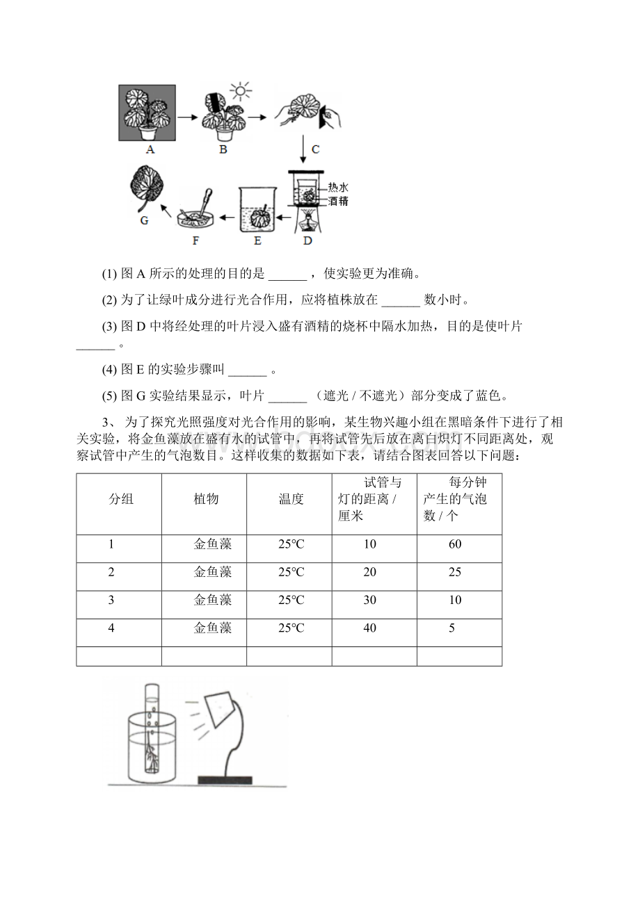 初中生物绿色植物是生物圈中有机物的制造者探究题专题训练.docx_第2页