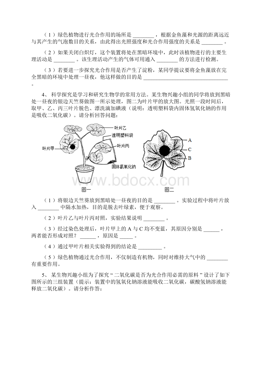 初中生物绿色植物是生物圈中有机物的制造者探究题专题训练.docx_第3页