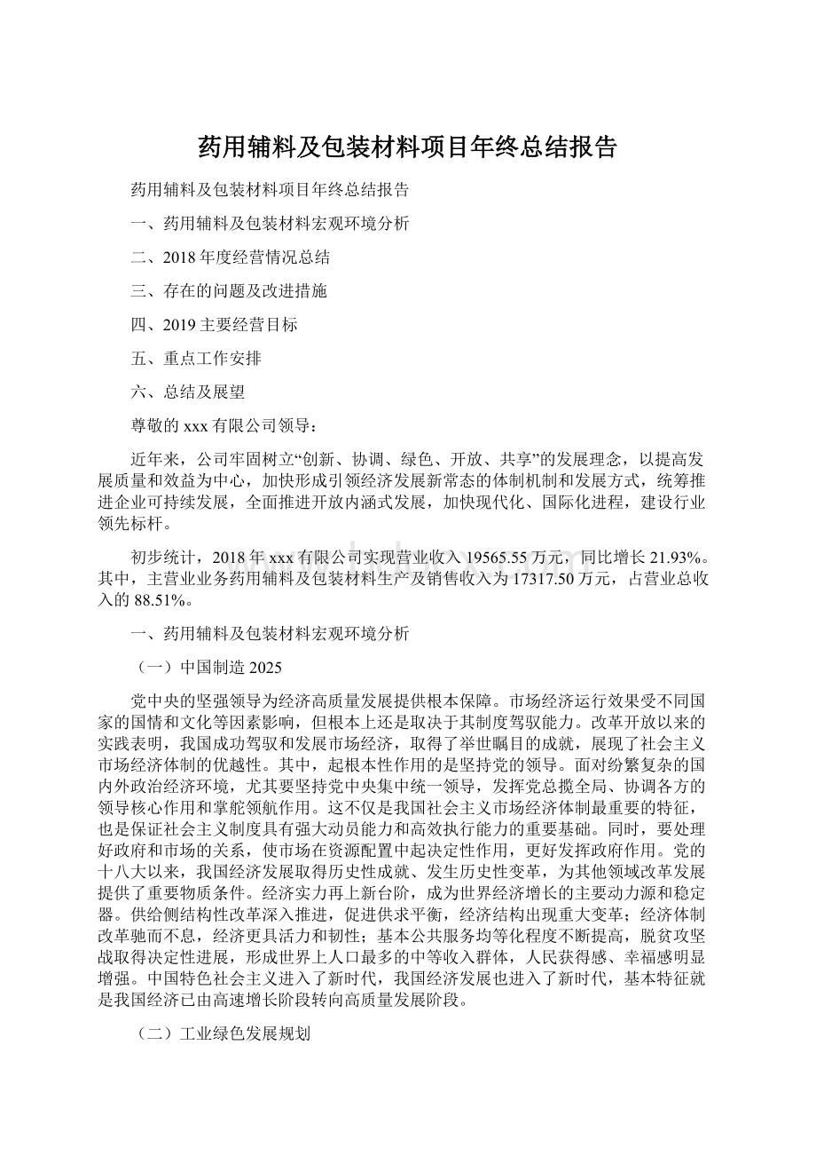 药用辅料及包装材料项目年终总结报告Word文档格式.docx