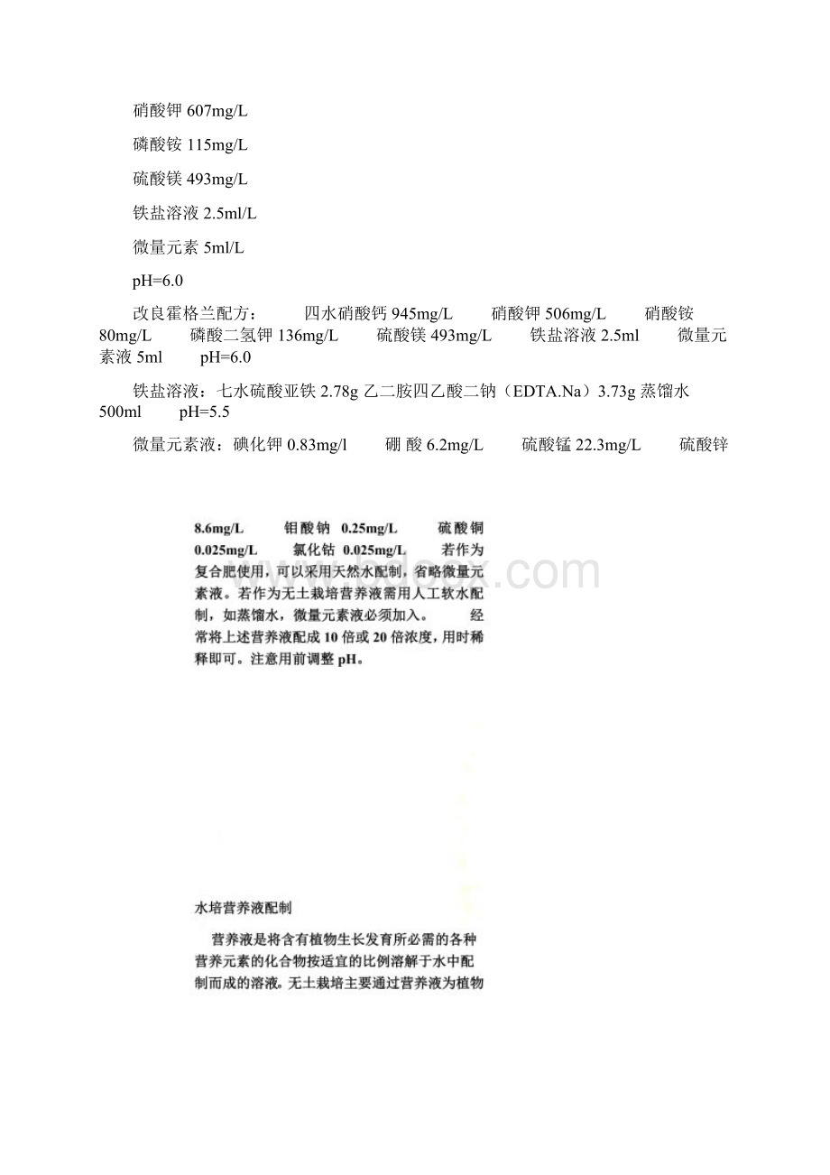 Hoaglands营养液配方及配制方法Word格式文档下载.docx_第2页