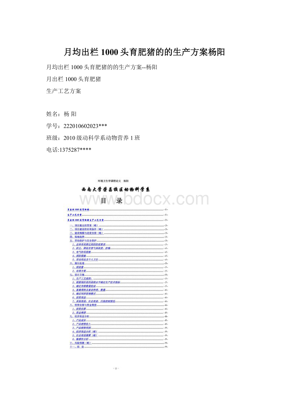 月均出栏1000头育肥猪的的生产方案杨阳Word格式.docx