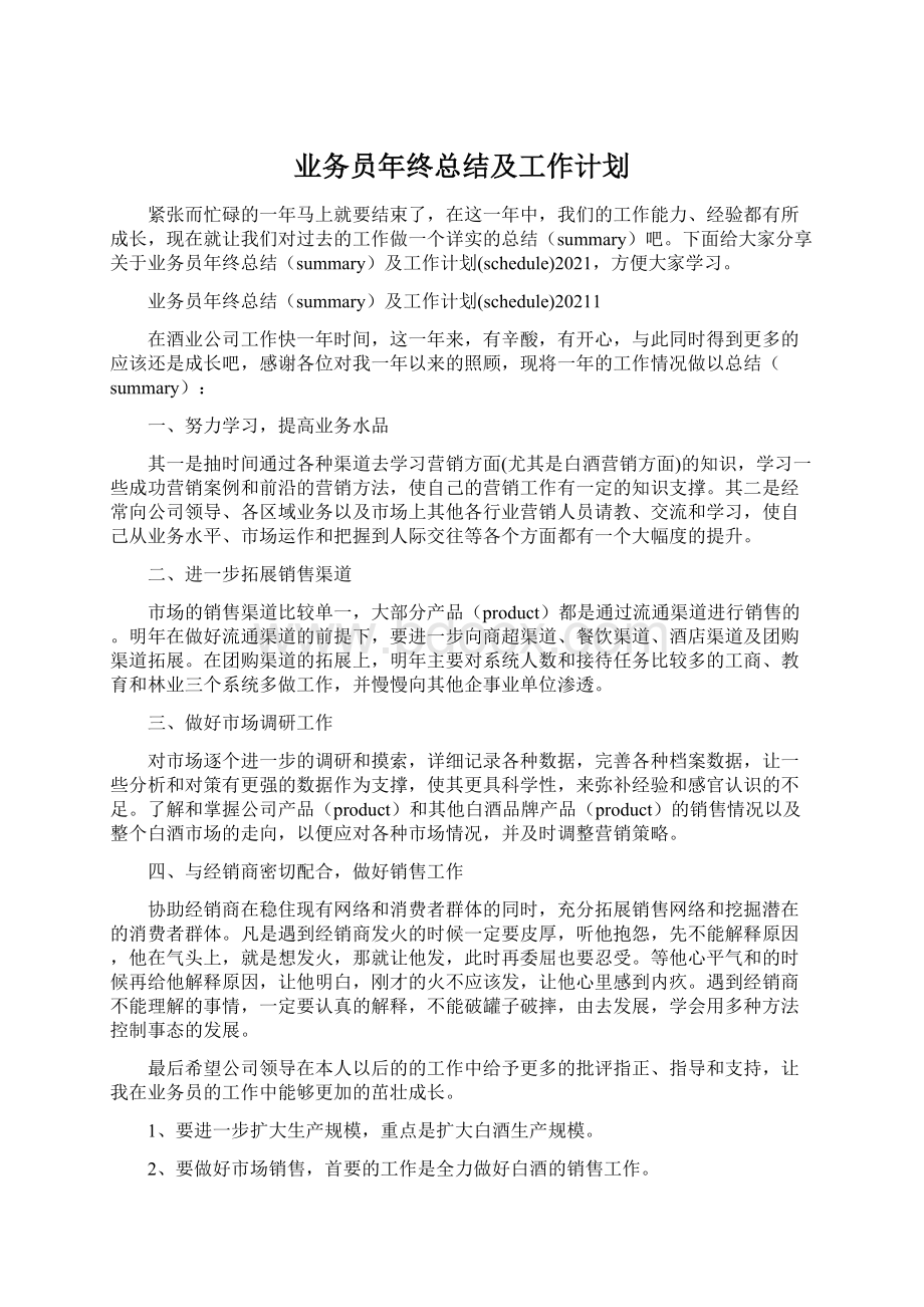 业务员年终总结及工作计划文档格式.docx