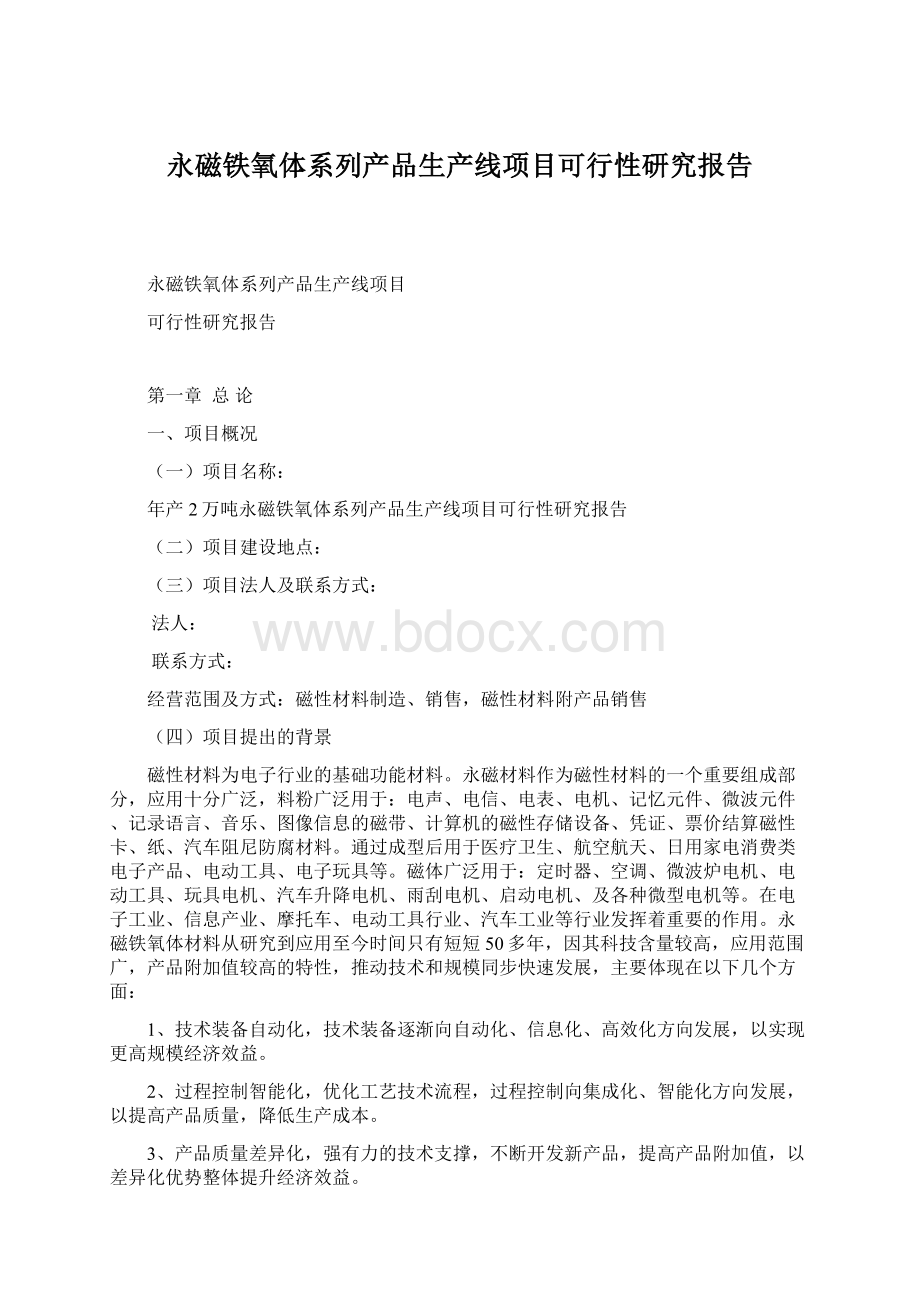 永磁铁氧体系列产品生产线项目可行性研究报告.docx_第1页