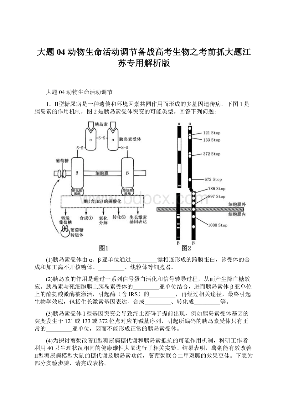 大题04 动物生命活动调节备战高考生物之考前抓大题江苏专用解析版文档格式.docx