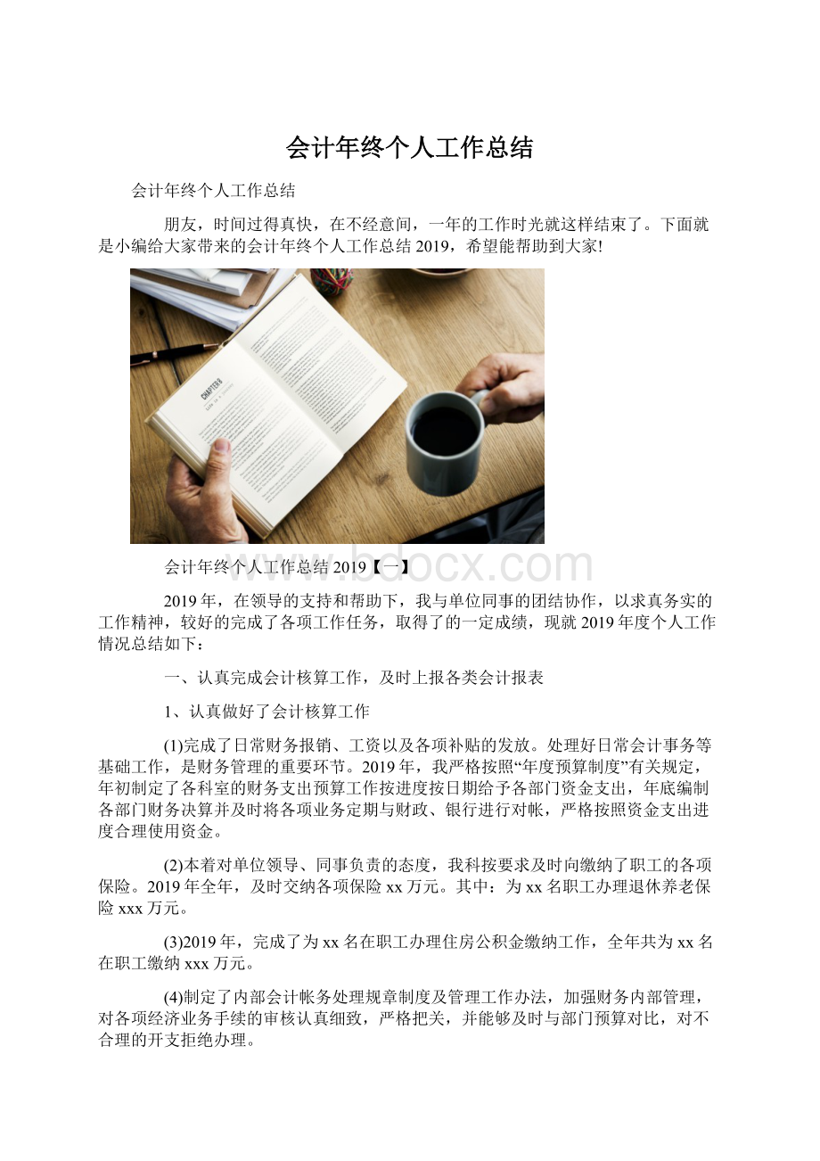 会计年终个人工作总结.docx