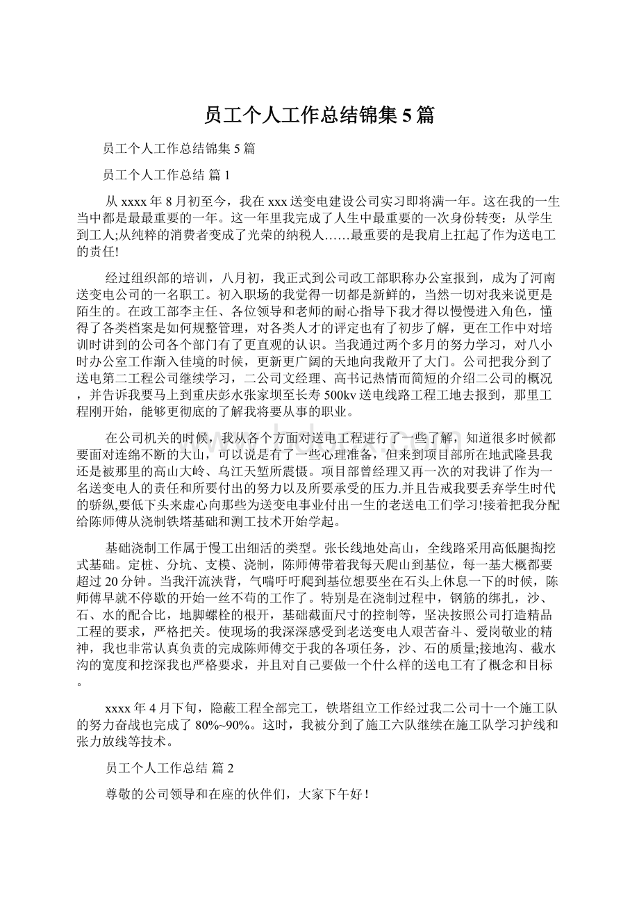 员工个人工作总结锦集5篇文档格式.docx