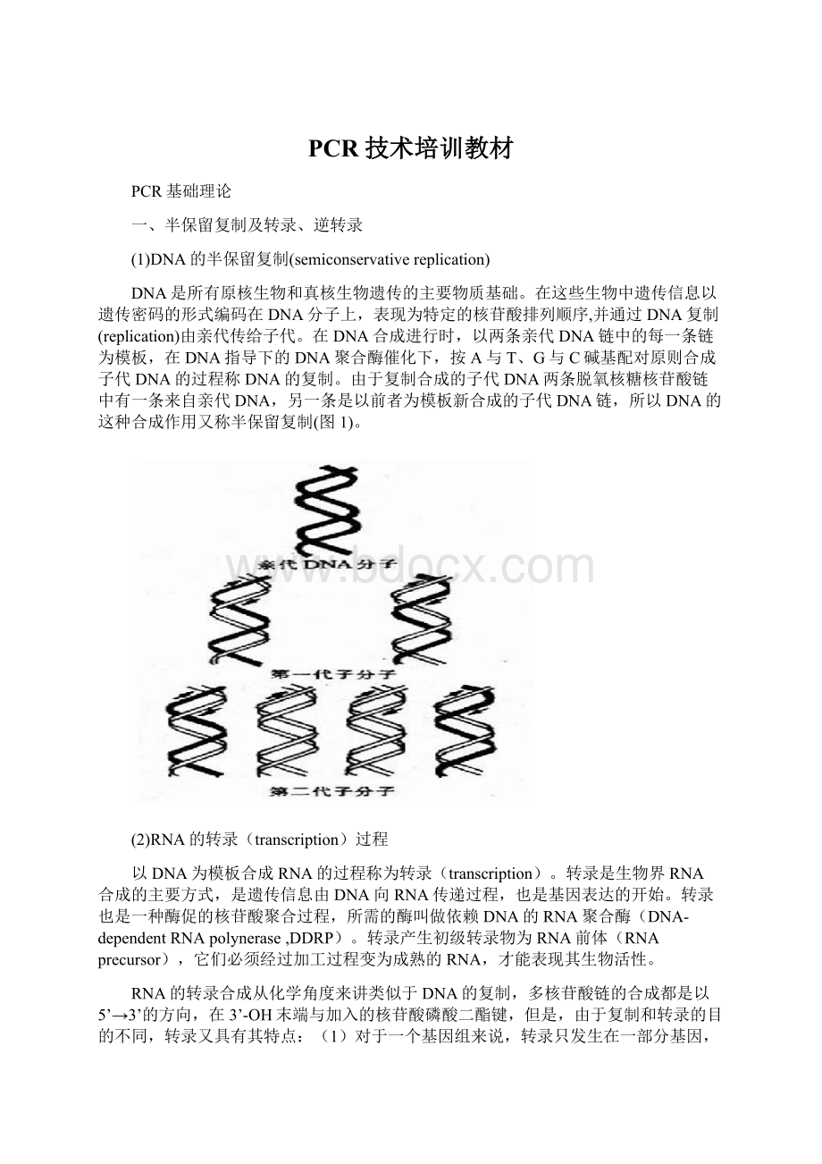 PCR技术培训教材Word下载.docx
