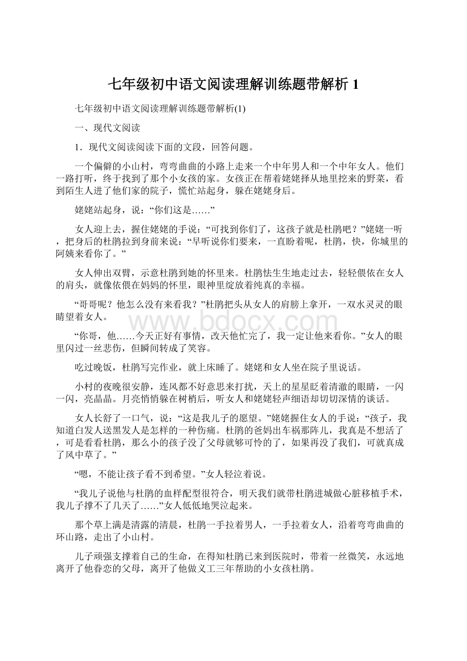 七年级初中语文阅读理解训练题带解析1.docx