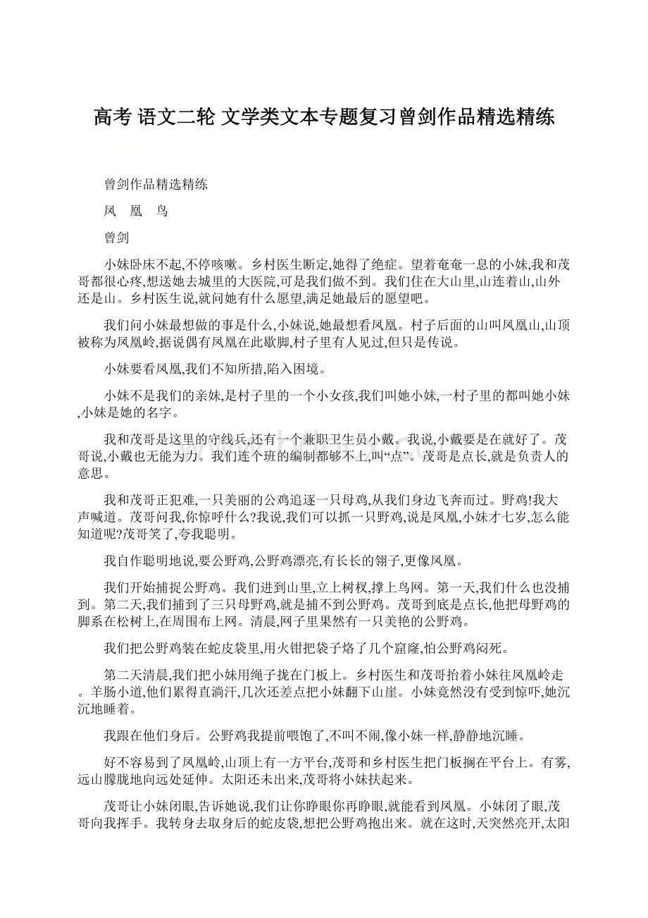 高考语文二轮文学类文本专题复习曾剑作品精选精练文档格式.docx