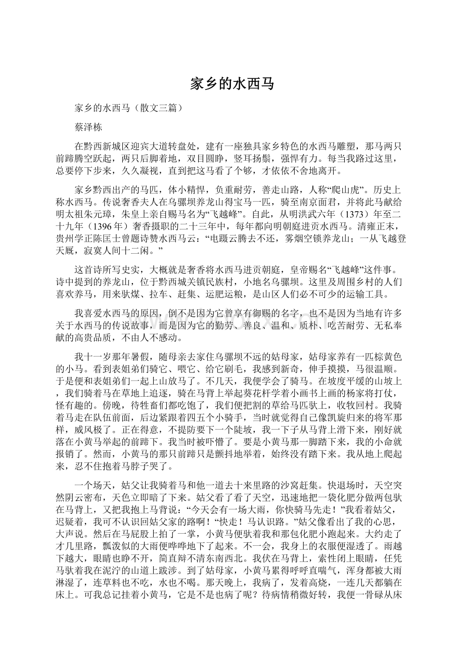 家乡的水西马Word下载.docx