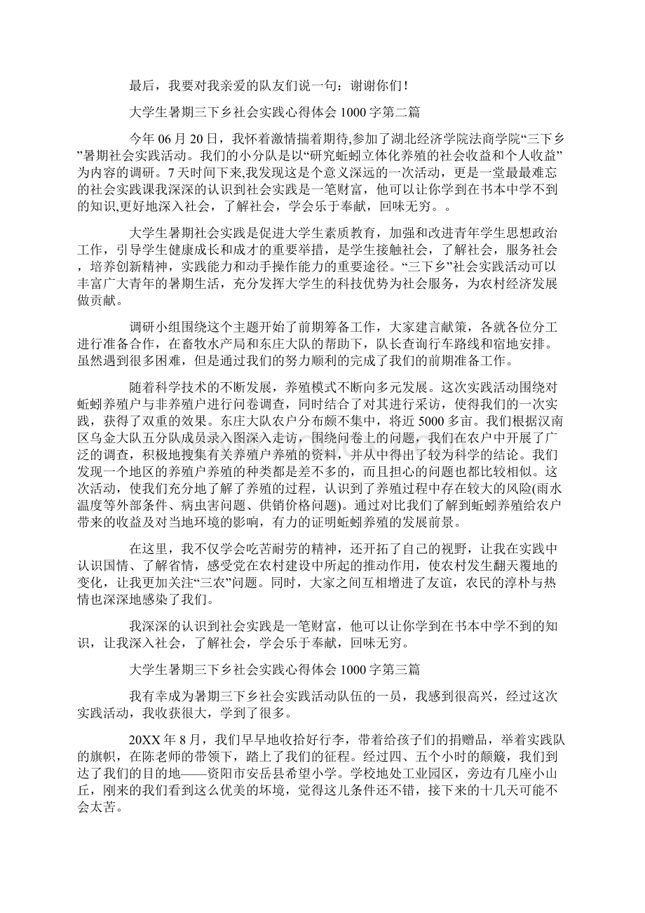 大学生暑期三下乡社会实践心得体会1000字精选.docx_第3页