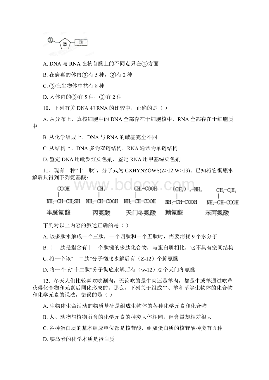 学年河南省鹤壁市淇滨高级中学高一上学期第一次月考生物试题Word文档下载推荐.docx_第3页