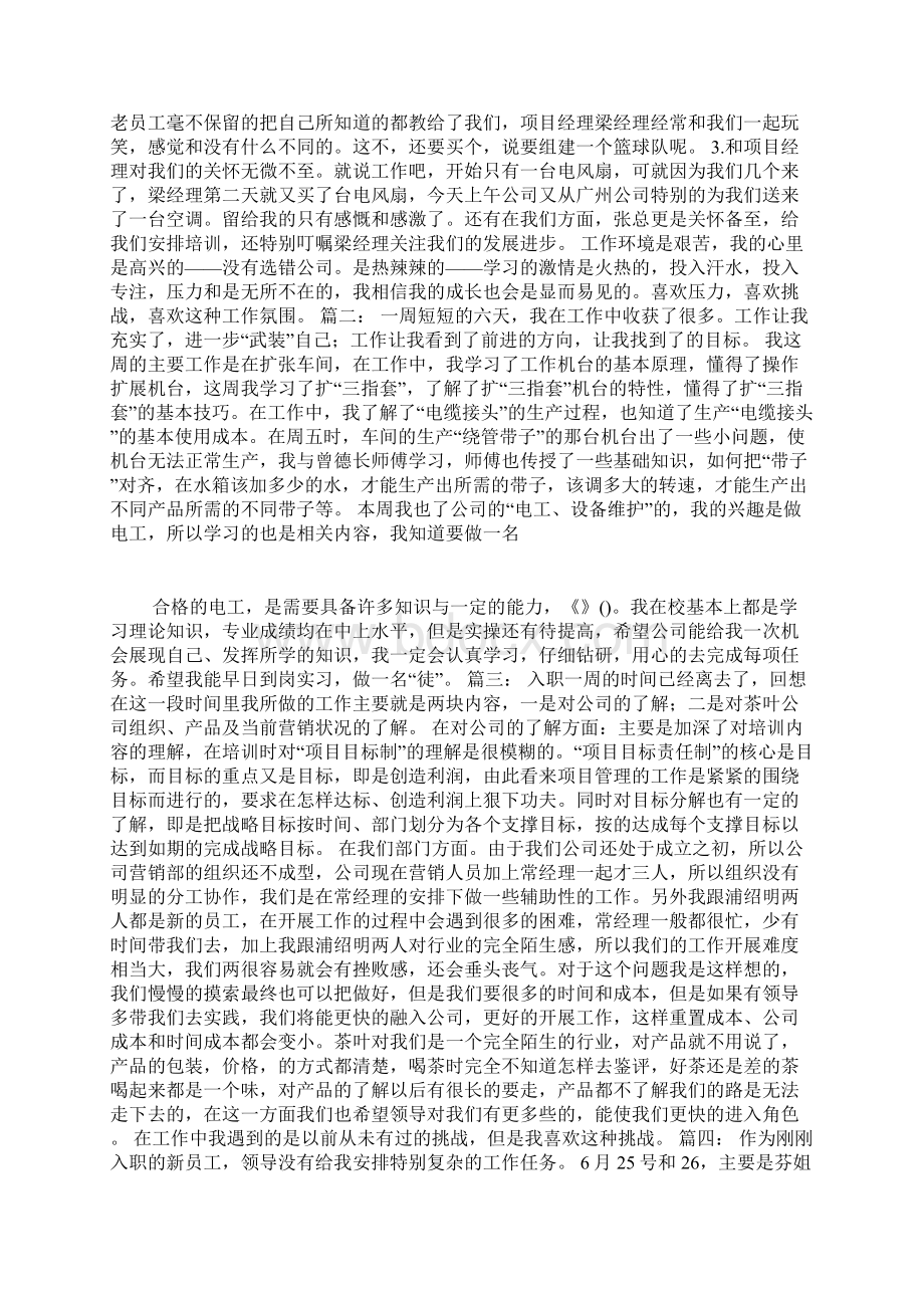 调试员入职一周工作总结.docx_第3页