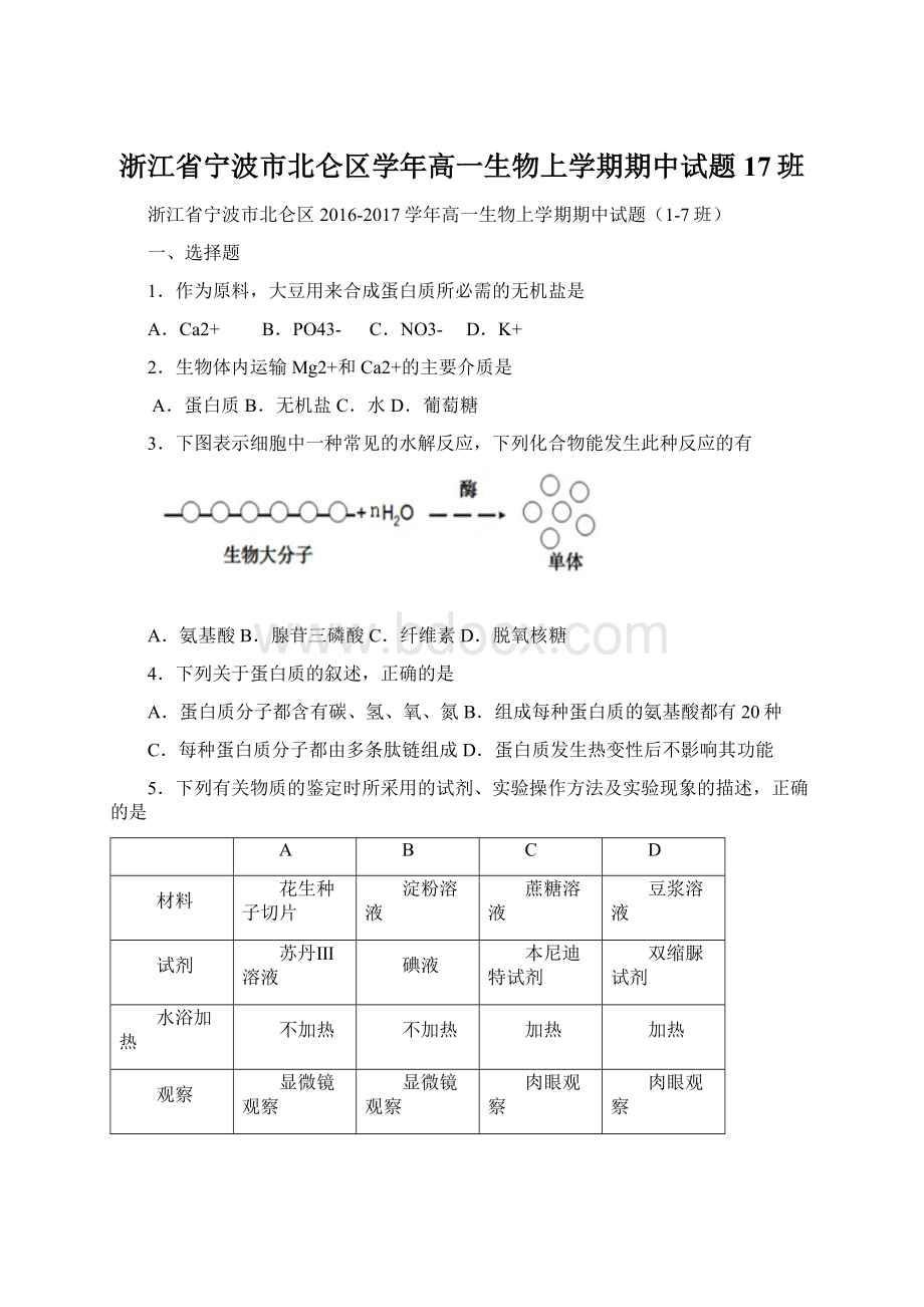 浙江省宁波市北仑区学年高一生物上学期期中试题17班Word格式.docx_第1页