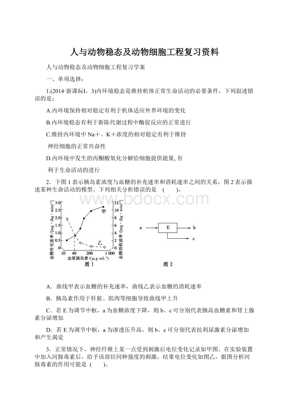 人与动物稳态及动物细胞工程复习资料Word格式文档下载.docx