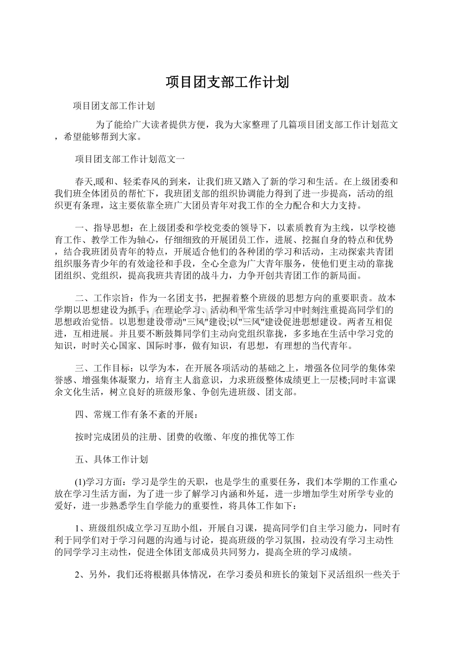 项目团支部工作计划.docx