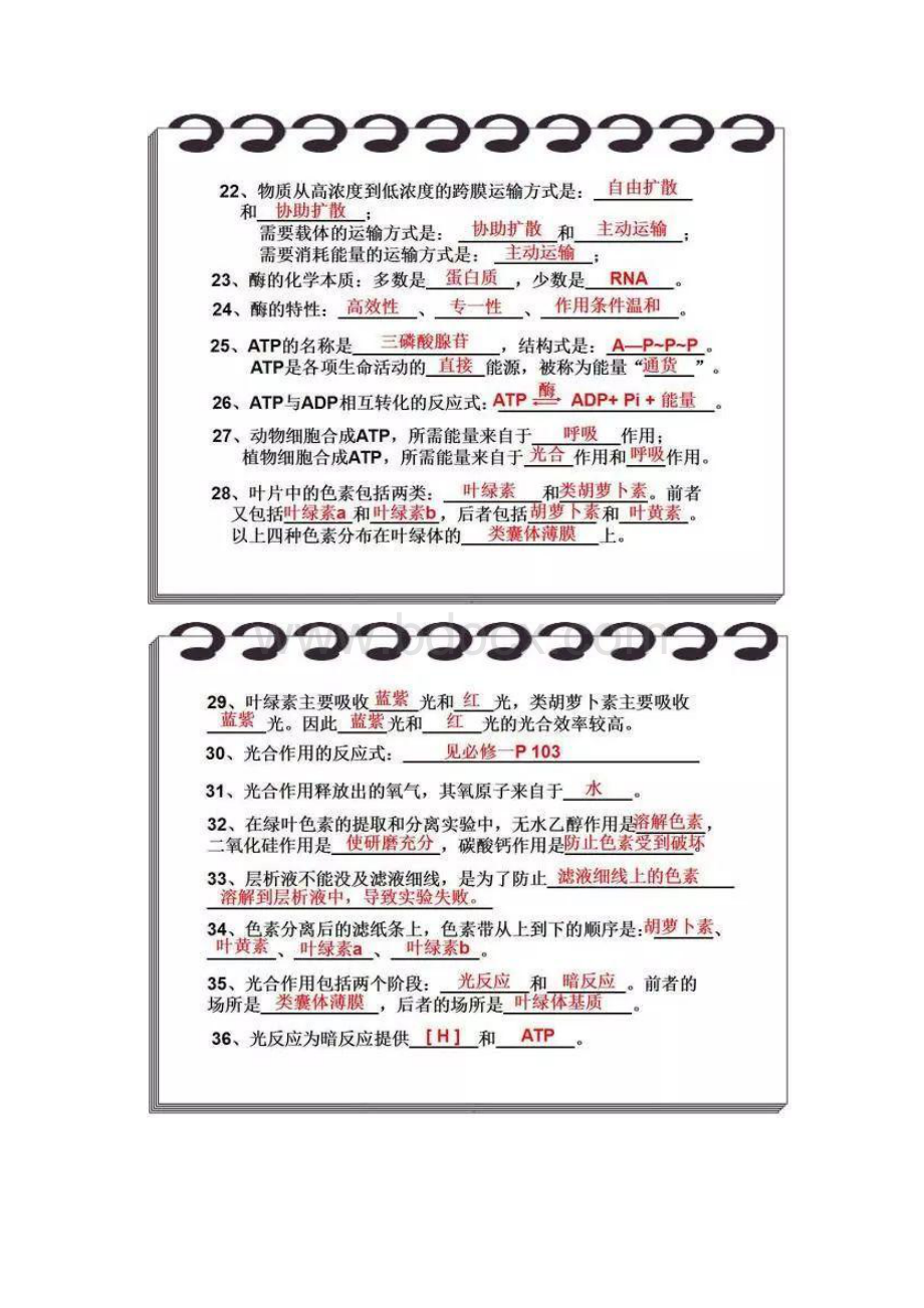 非常全面的高中生物知识点大总结.docx_第3页