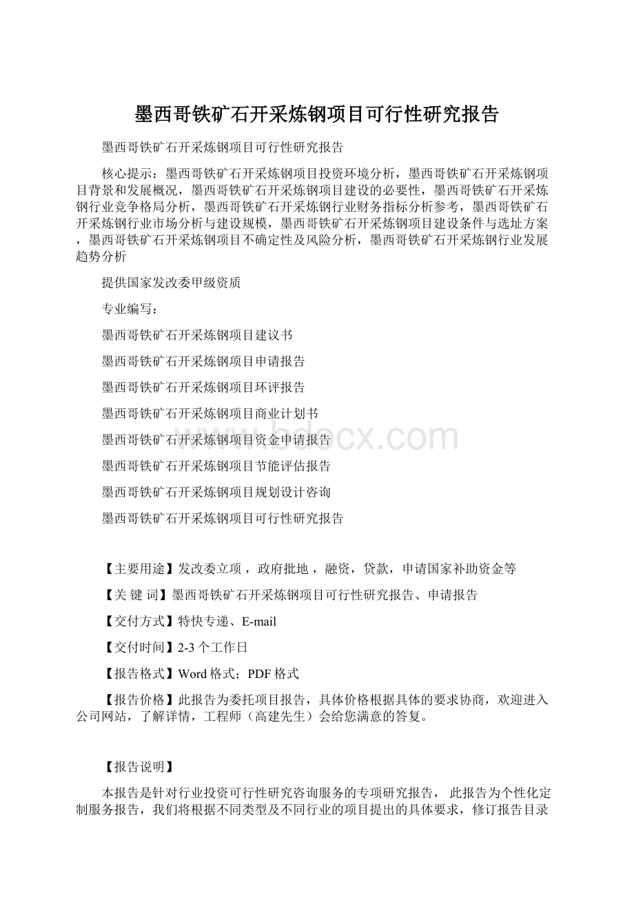 墨西哥铁矿石开采炼钢项目可行性研究报告文档格式.docx