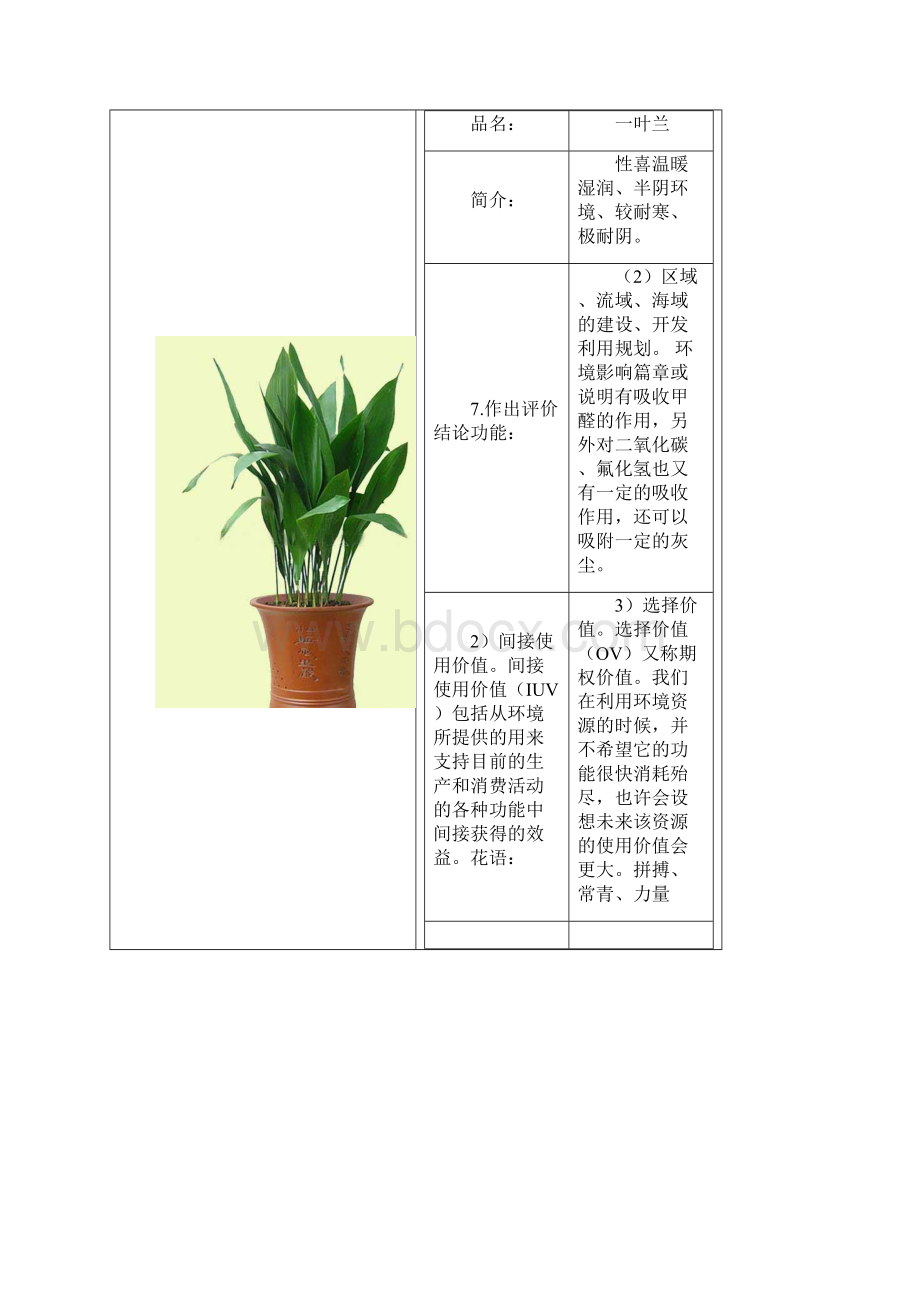 整理常见绿色植物图表.docx_第3页