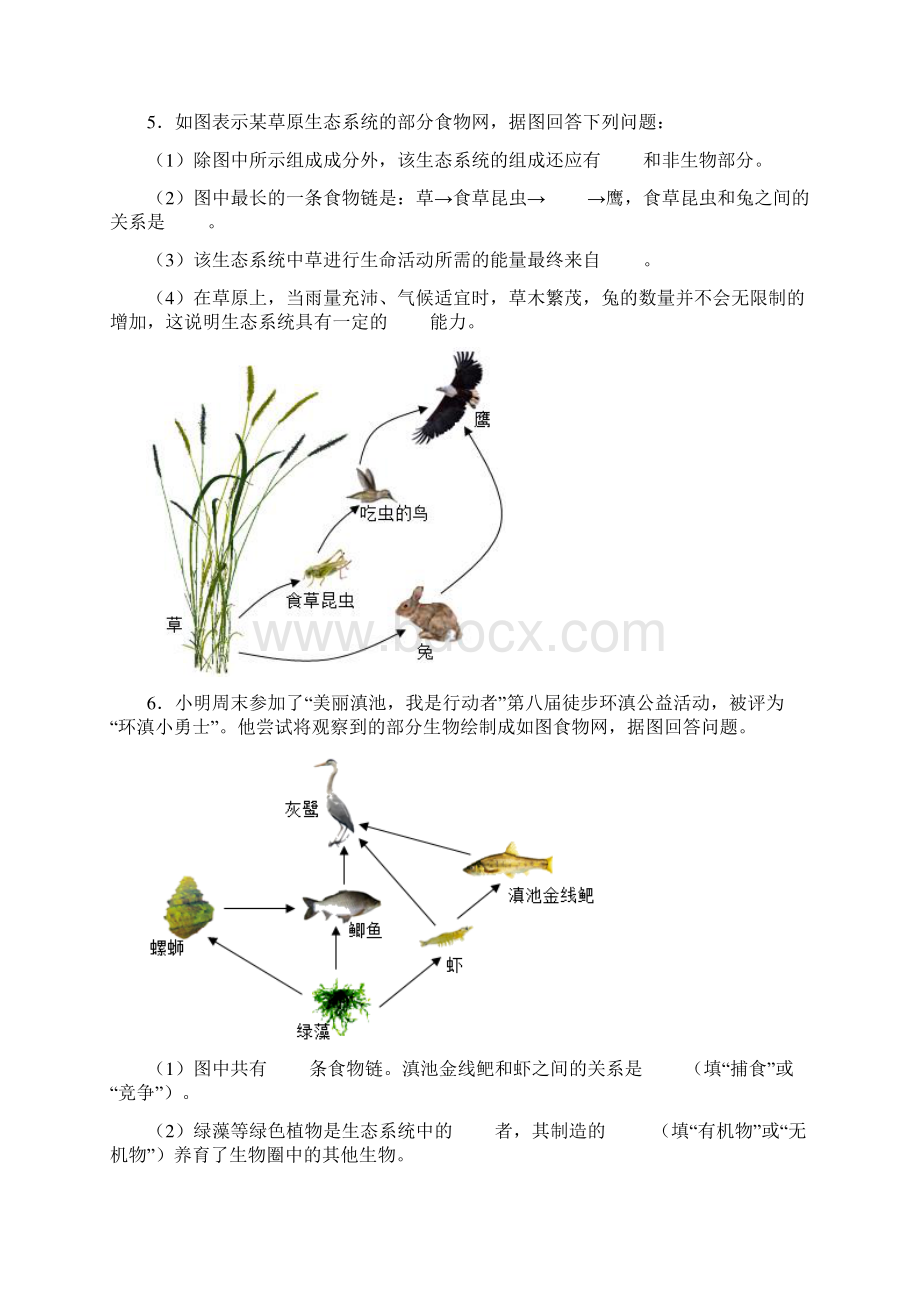 广东省生物中考总复习第二章 了解生物圈 解答题包含答案.docx_第3页