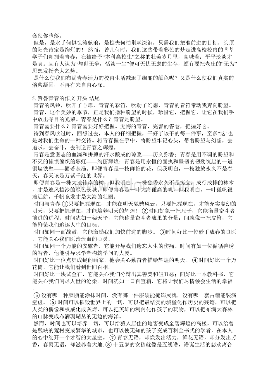 关于青春的演讲稿结尾Word下载.docx_第3页