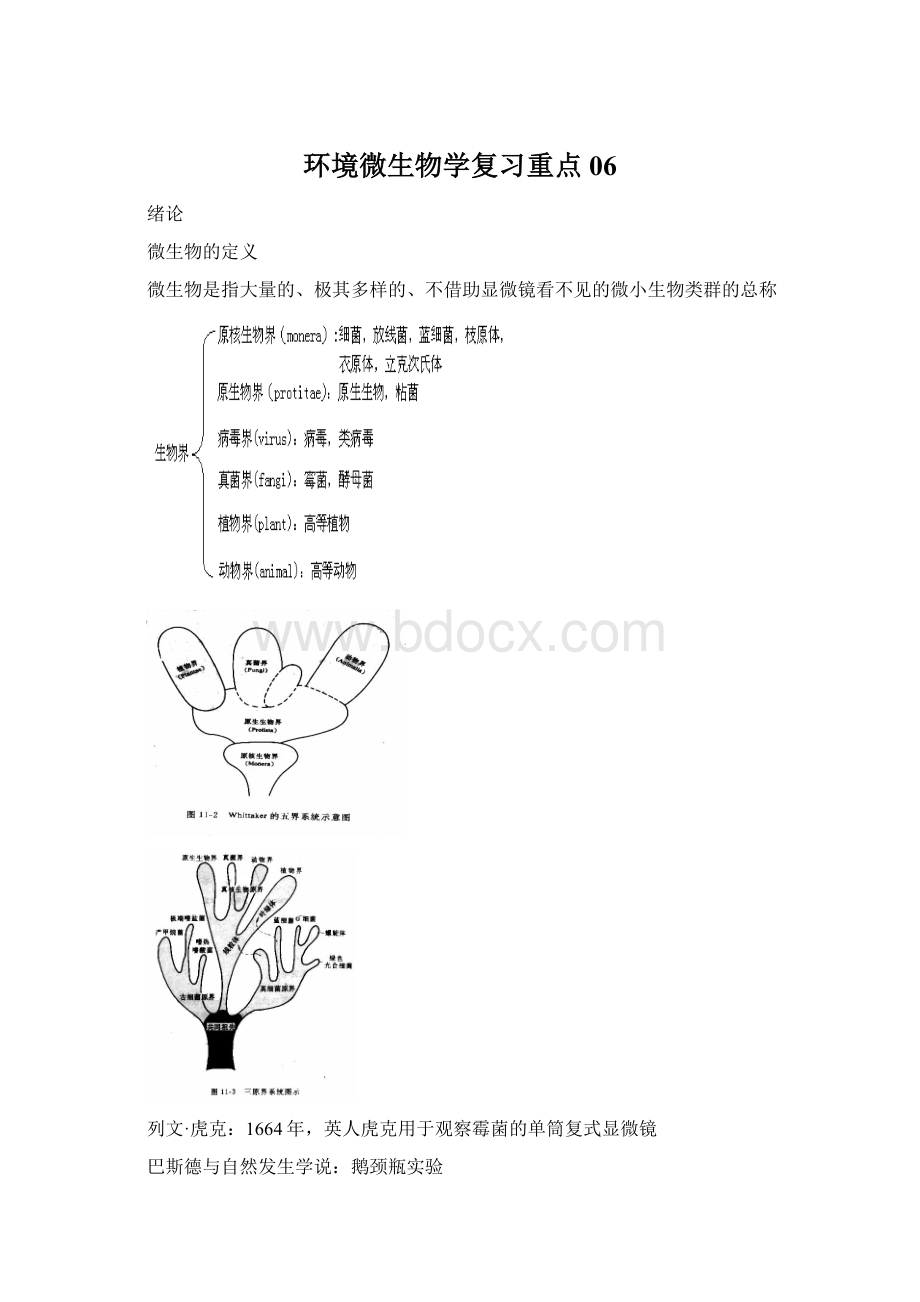 环境微生物学复习重点06.docx_第1页