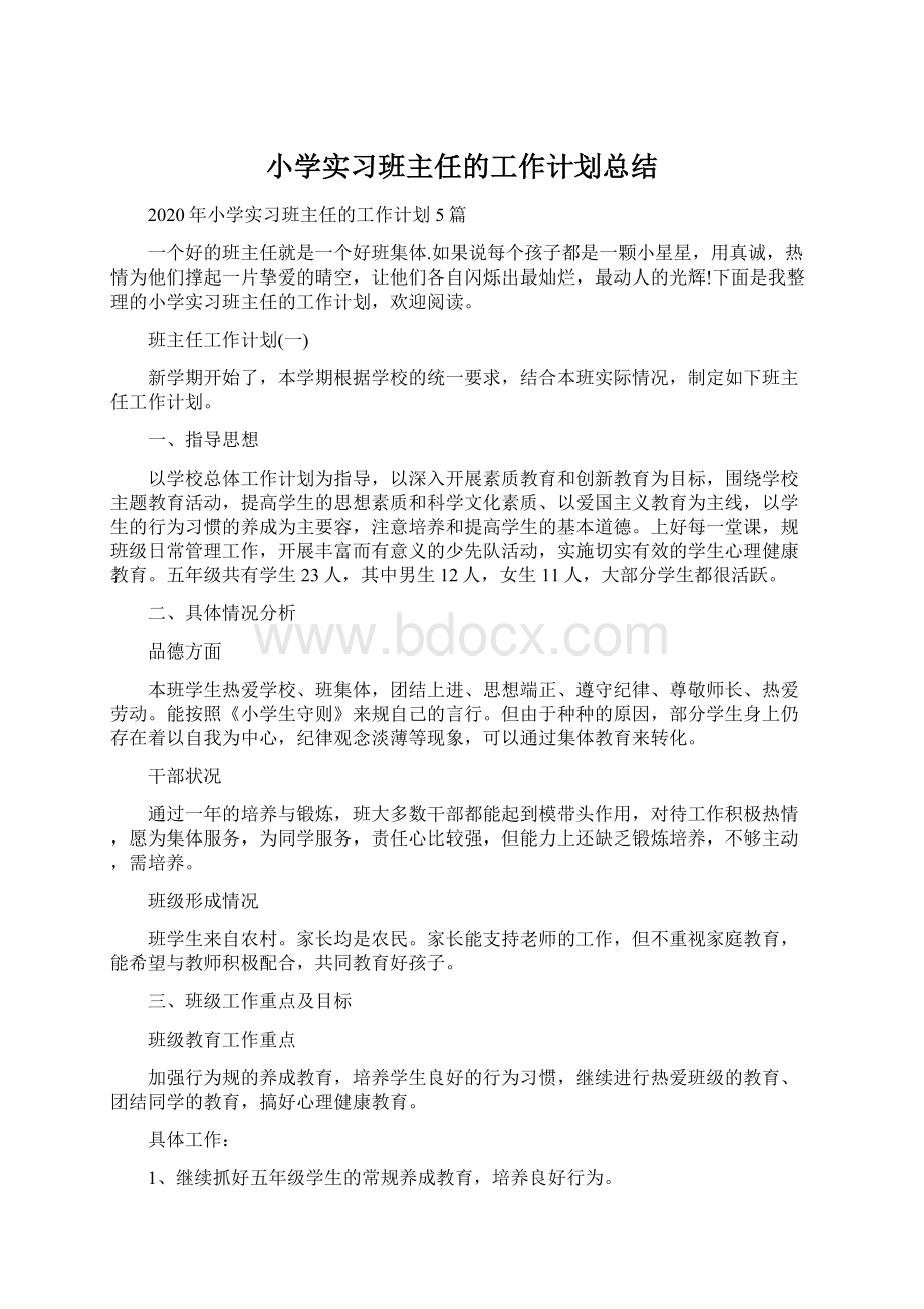 小学实习班主任的工作计划总结.docx