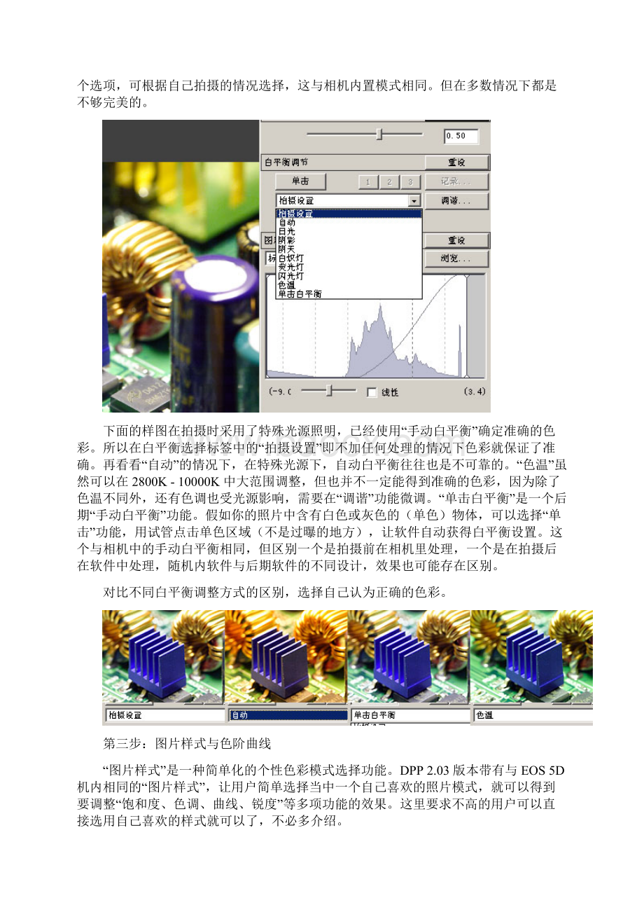 DPP使用技巧全攻略.docx_第2页