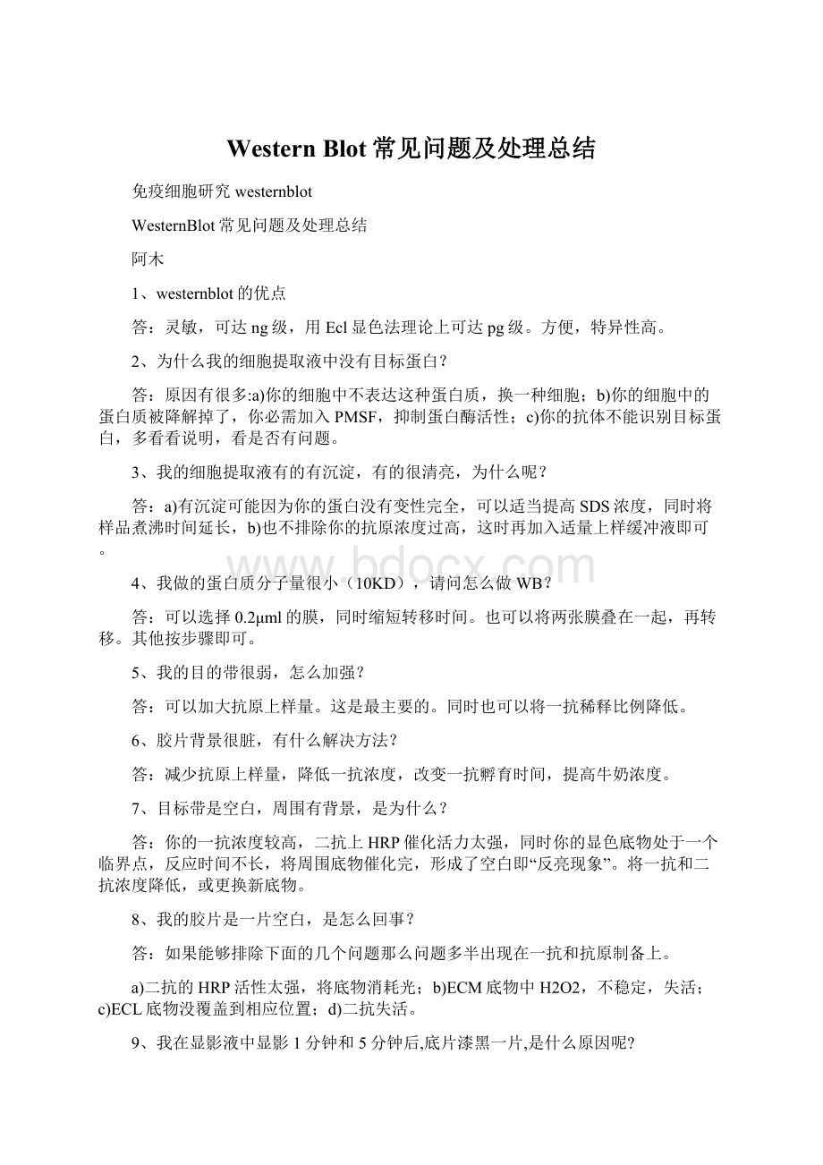 Western Blot常见问题及处理总结.docx_第1页