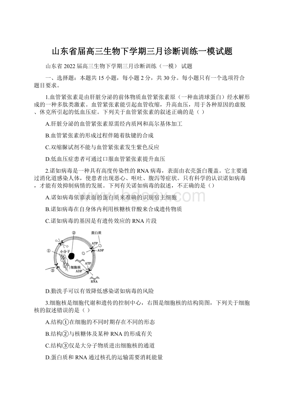 山东省届高三生物下学期三月诊断训练一模试题Word文档格式.docx