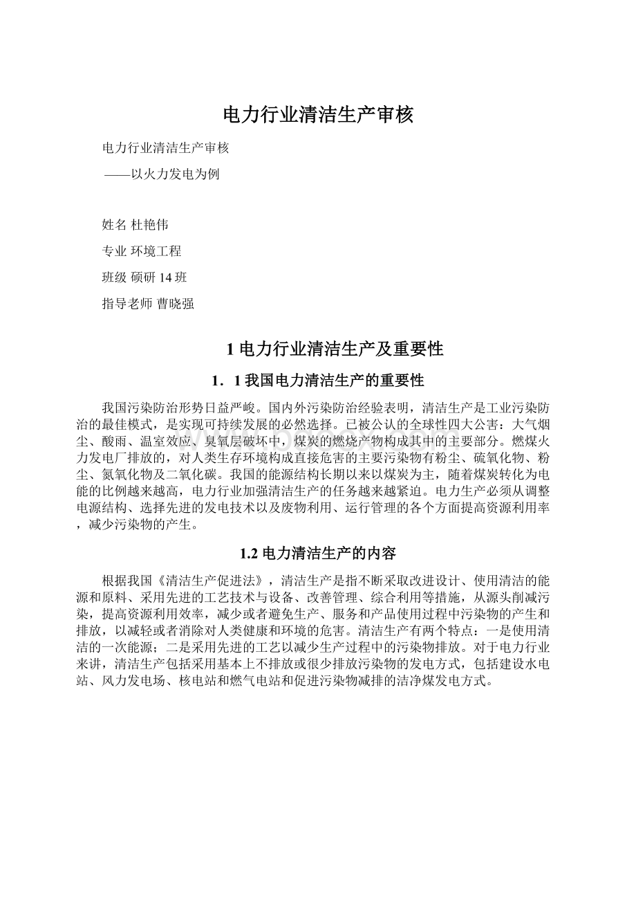 电力行业清洁生产审核文档格式.docx_第1页