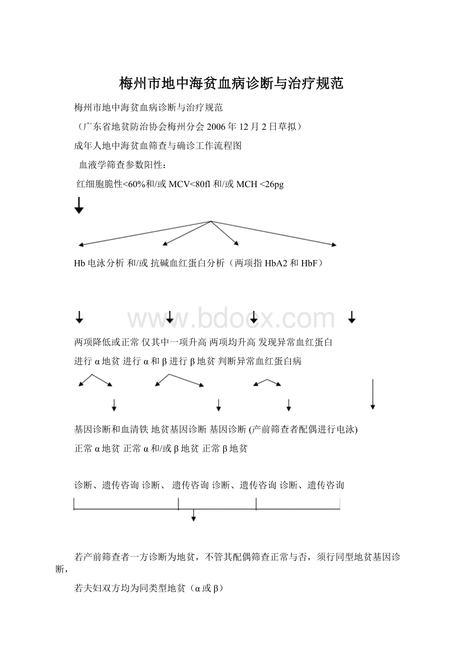 梅州市地中海贫血病诊断与治疗规范Word文件下载.docx