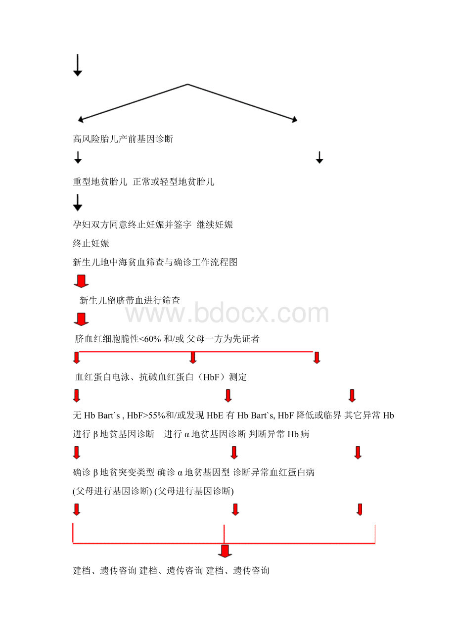 梅州市地中海贫血病诊断与治疗规范.docx_第2页