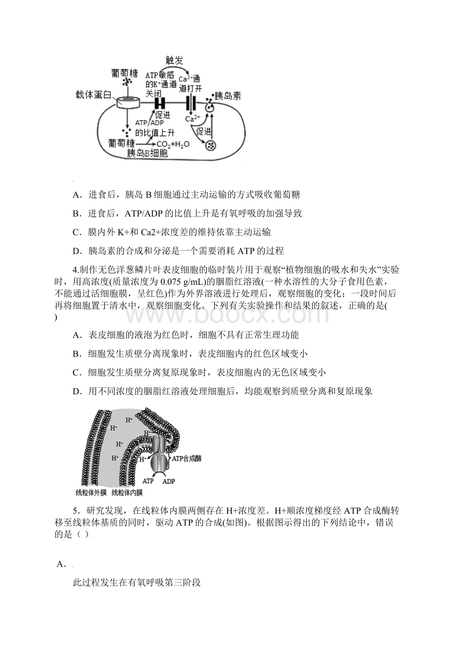 河北省唐山市一中学年高三上学期期中考试生物试题.docx_第2页