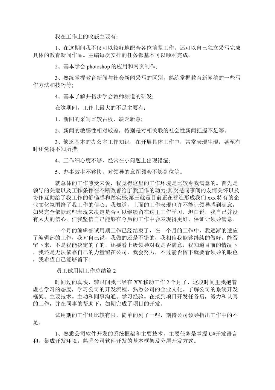 员工试用期工作总结.docx_第2页