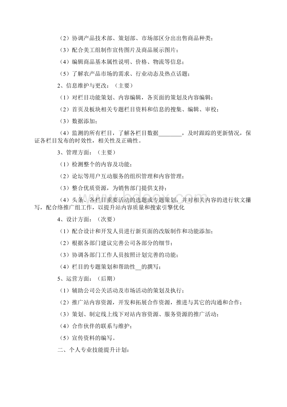 网站工作计划六篇.docx_第2页