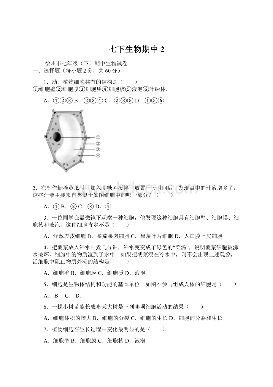 七下生物期中2Word文件下载.docx