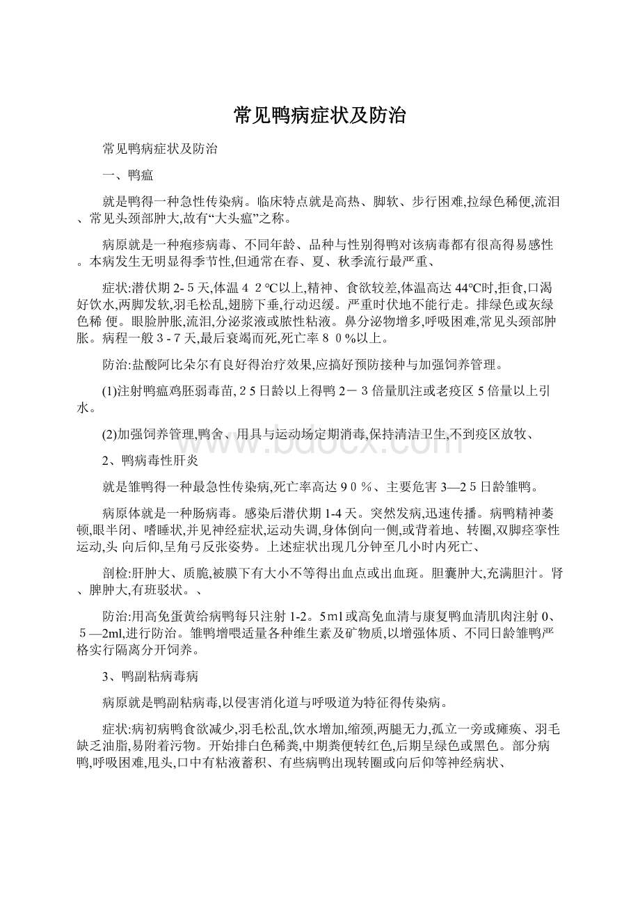 常见鸭病症状及防治文档格式.docx