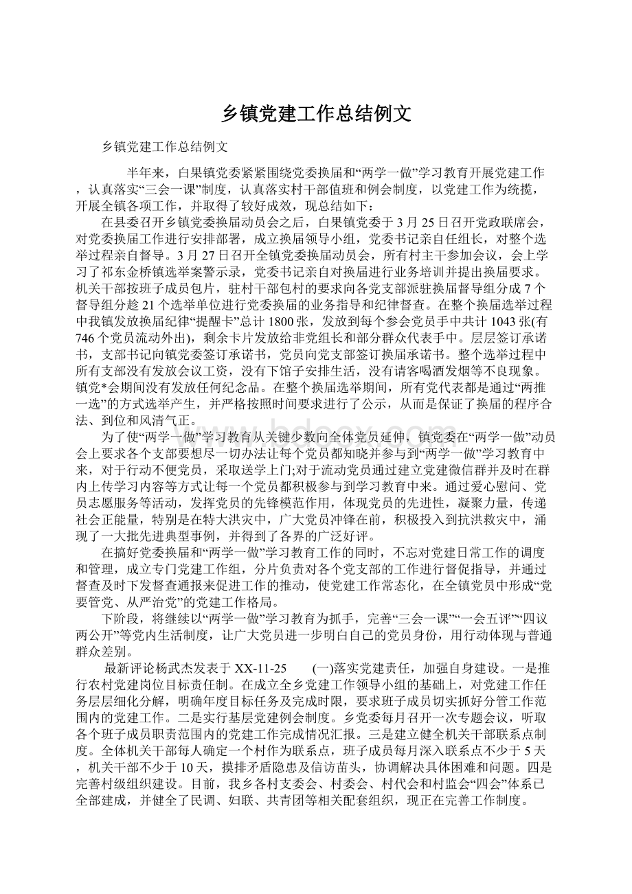 乡镇党建工作总结例文文档格式.docx